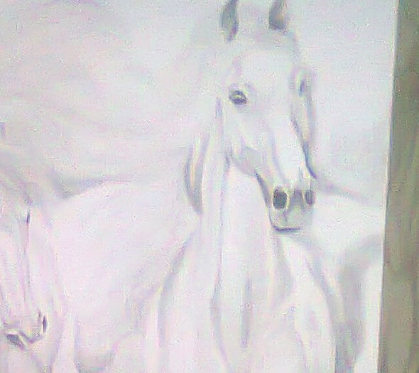 Perete pictat - salon cu cai